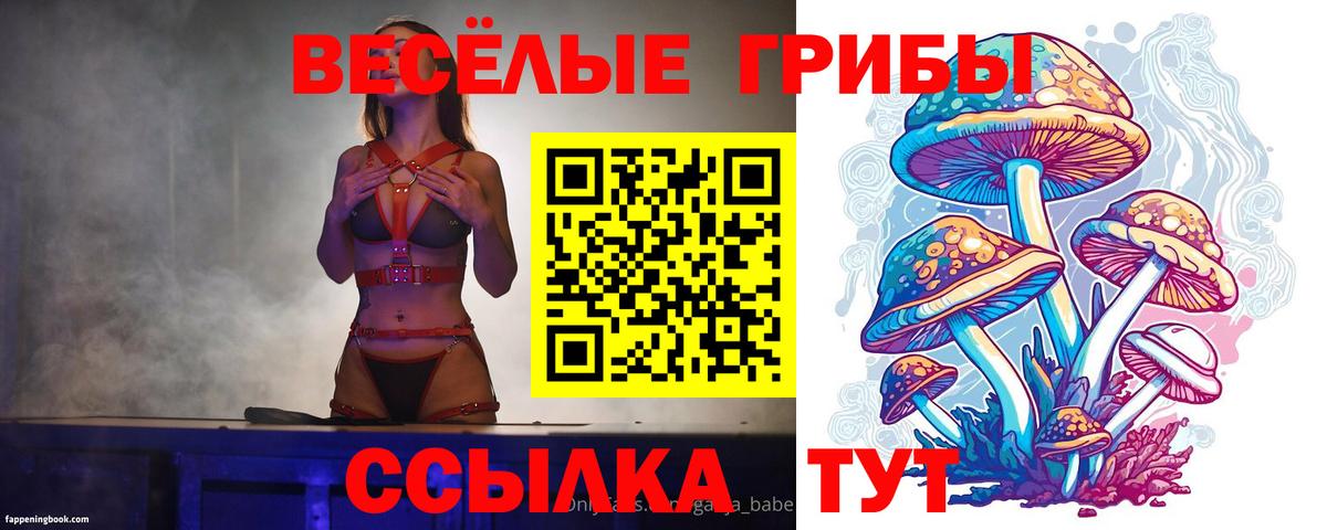 Псилоцибиновые грибы мухоморы  Галлюциногенные грибы Cubensis  Вход с VPN  даркнет сайт  Сыктывкар 